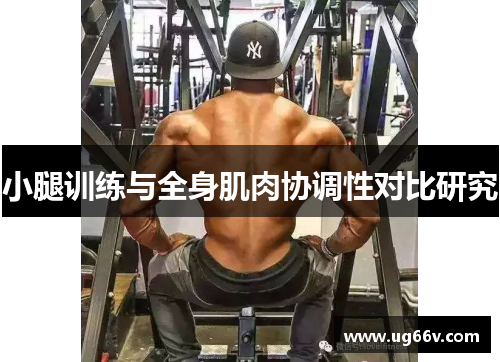 小腿训练与全身肌肉协调性对比研究